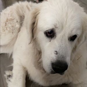 Meet your Posher, Ethan